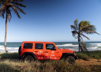 Jeep reforça apoio ao Projeto Tamar com renovação de frota de veículos