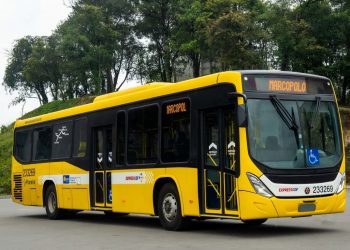 Marcopolo inicia entrega de ônibus urbanos Torino para Viação Pioneira