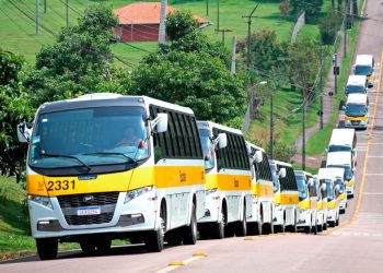 Volare amplia participação no Paraná