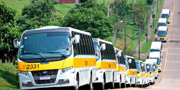 Volare amplia participação no Paraná
