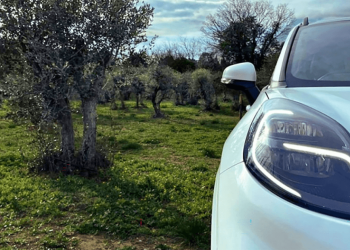Ford desenvolve peças de automóveis sustentáveis com resíduos de oliveira