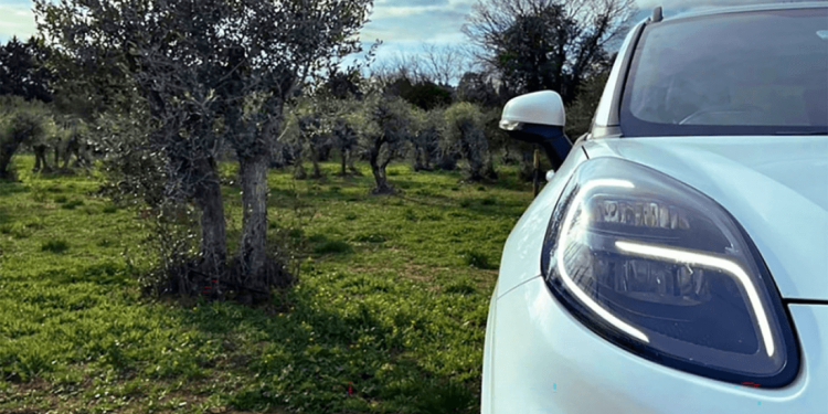 Ford desenvolve peças de automóveis sustentáveis com resíduos de oliveira
