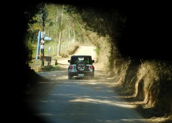 Jeep Nature conecta clientes ao espírito da marca em experiências por todo o Brasil