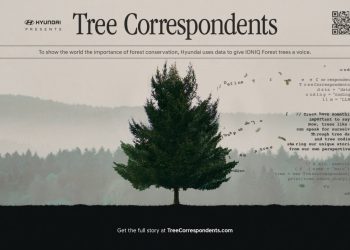 Hyundai celebra 10 anos da Floresta IONIQ  com campanha ‘Tree Correspondents’