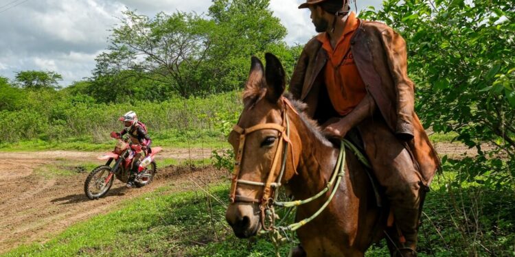 Cerapió apresenta um Brasil que poucos brasileiros conhecem