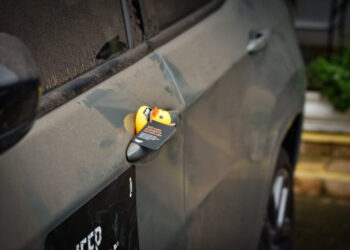 Os patinhos que conectam toda uma comunidade