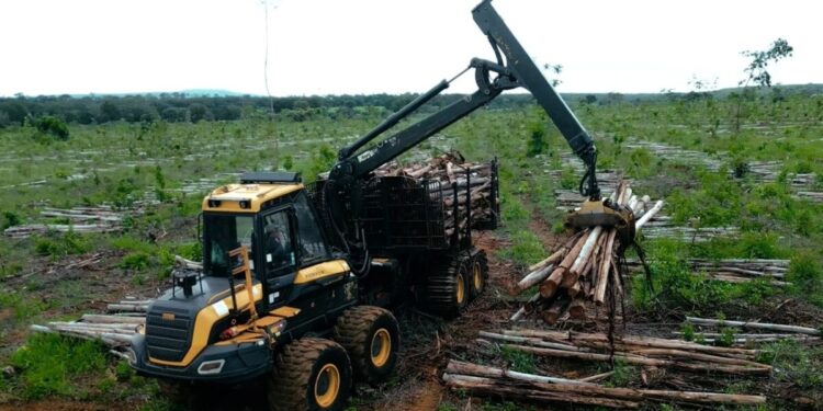 Chega ao mercado o primeiro pneu desenvolvido no Brasil exclusivo para colheita florestal