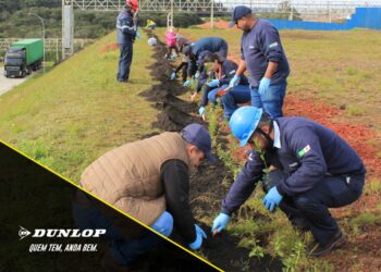 Mês do Meio Ambiente: Dunlop acelera iniciativas sustentáveis e amplia ações de conscientização