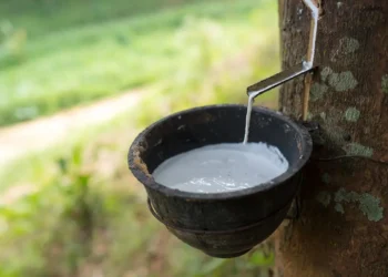 Indústria de artefatos de borracha alcançou consumo aparente de US$ 4,1 bilhões em 2025