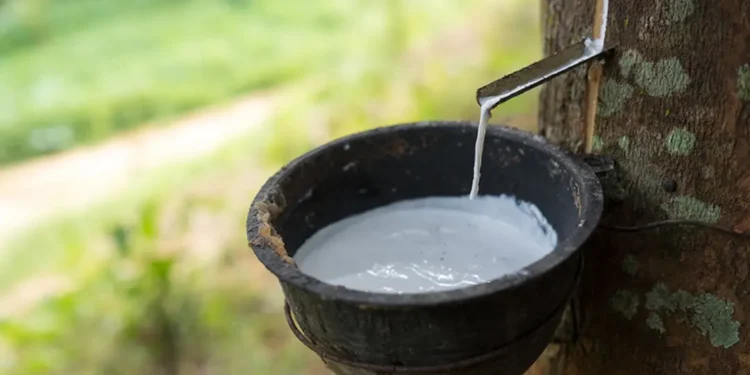 Indústria de artefatos de borracha alcançou consumo aparente de US$ 4,1 bilhões em 2025