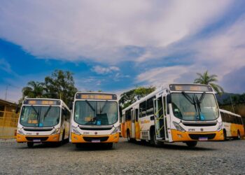 Marcopolo fornece sete ônibus urbanos Torino para renovação da frota da Via Ouro Coletivos